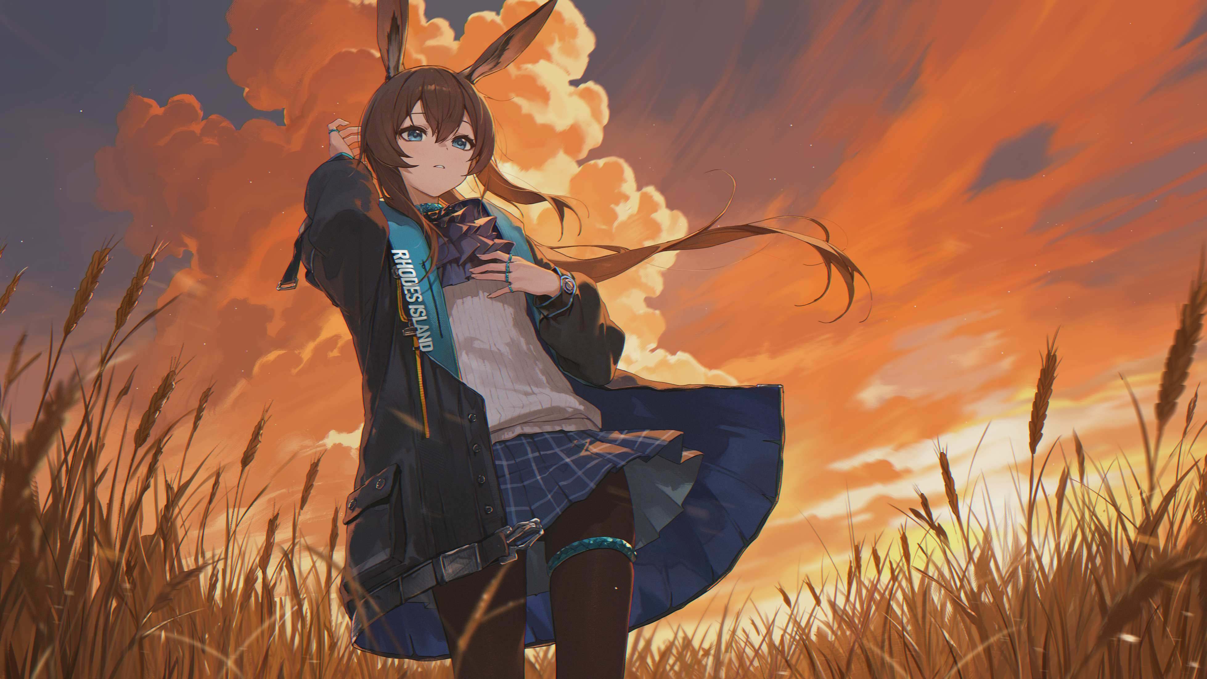 Desktop banner image 4